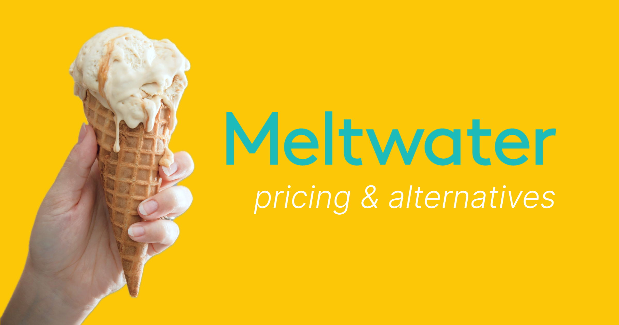 Meltwater Pricing Guide 2024 Costs & Plans Broken Down
